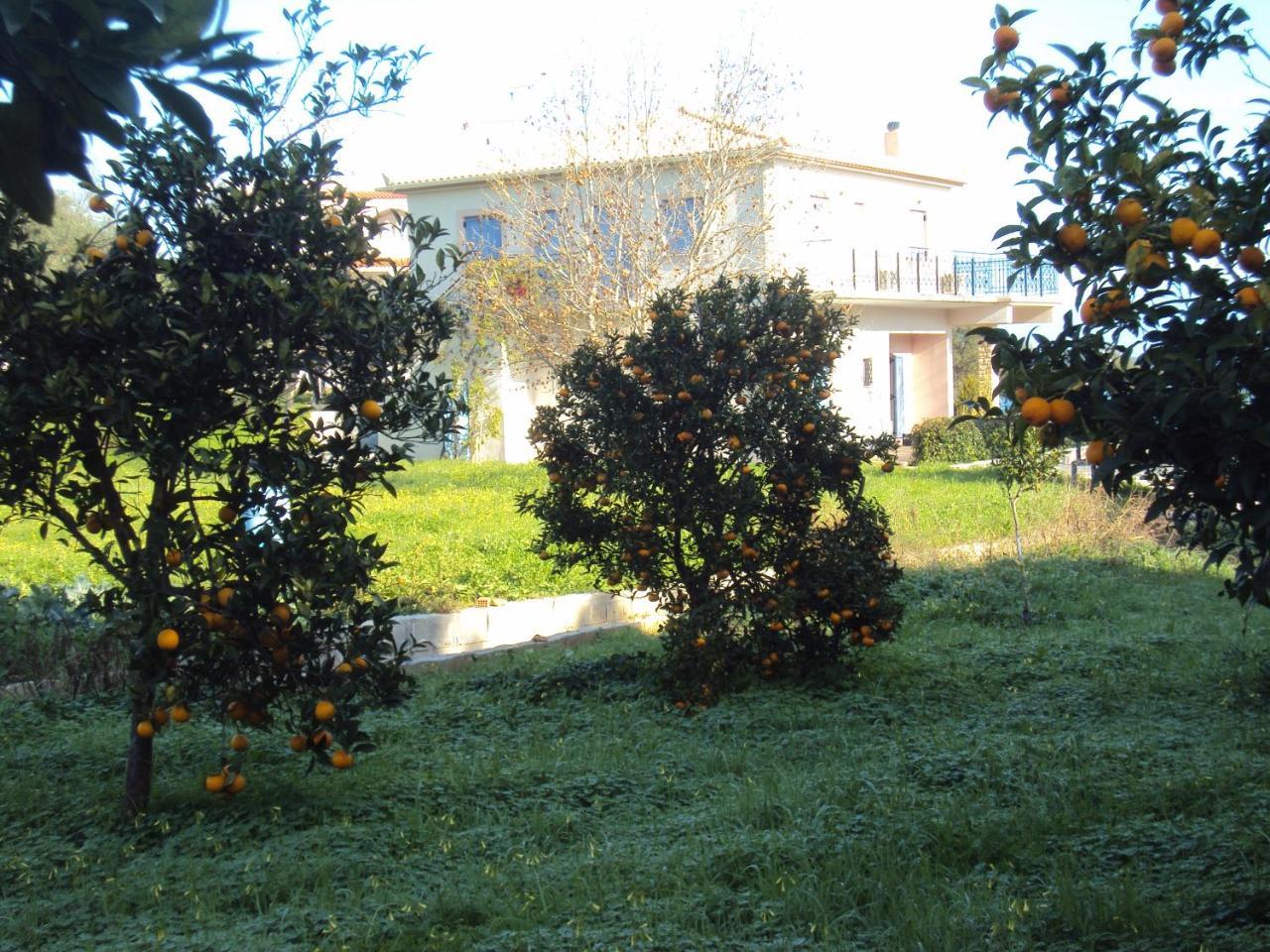 Villa Nostos โคโรนิ ภายนอก รูปภาพ