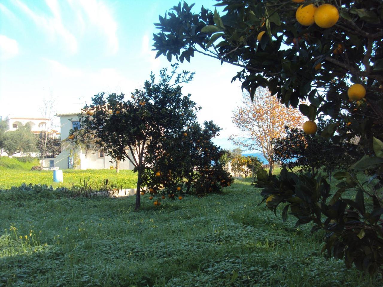 Villa Nostos โคโรนิ ภายนอก รูปภาพ