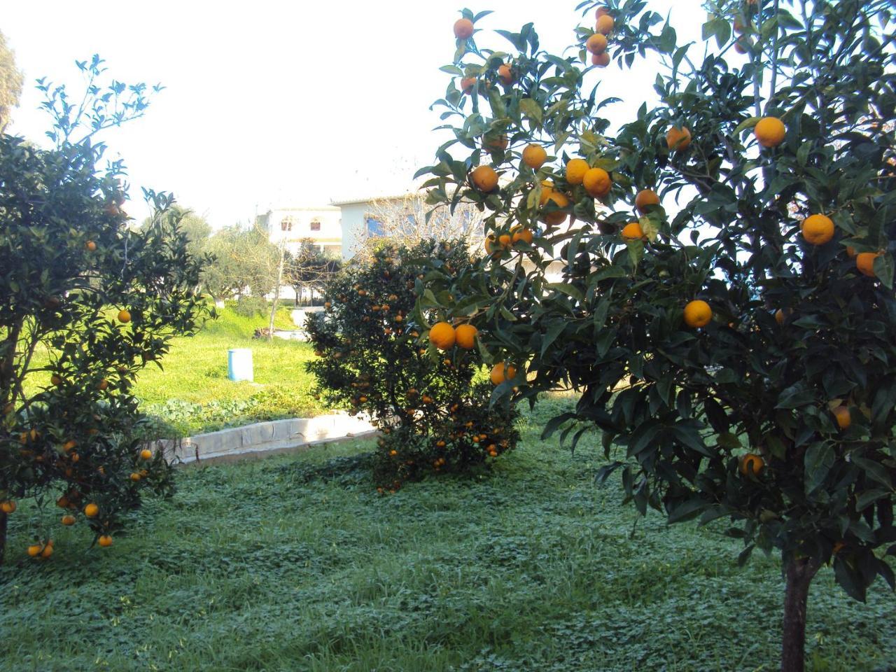 Villa Nostos โคโรนิ ภายนอก รูปภาพ